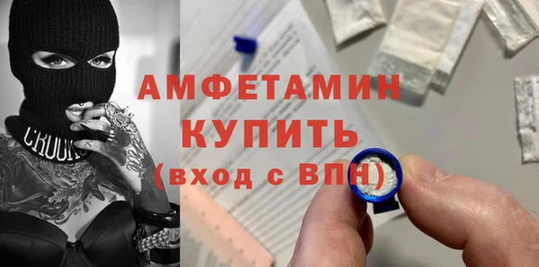 спиды Ельня