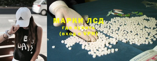 spice Осинники